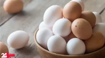 البيض في يومه العالمي: تعرف على 10 طرق مصرية مبتكرة لتحضيره